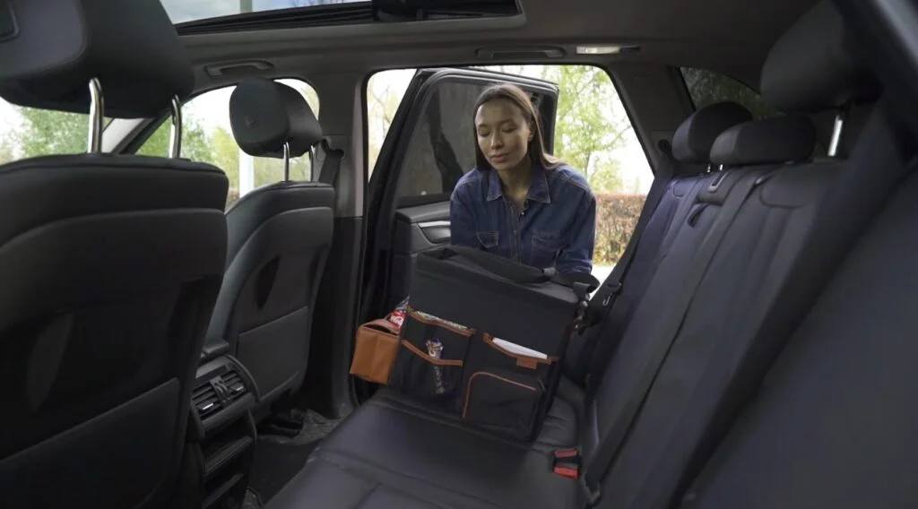 Ford EcoSport organization ideas