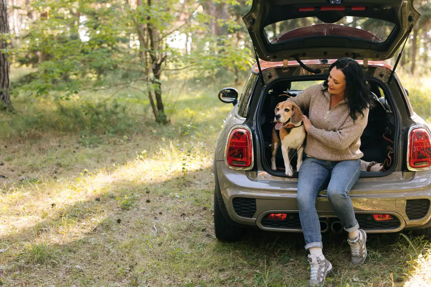 pet seat cover for Dodge Grand Caravan