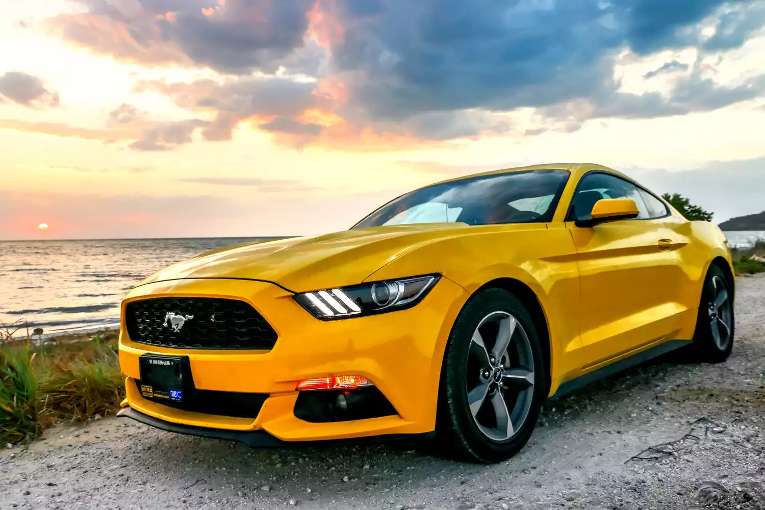 Ford Mustang car trash can