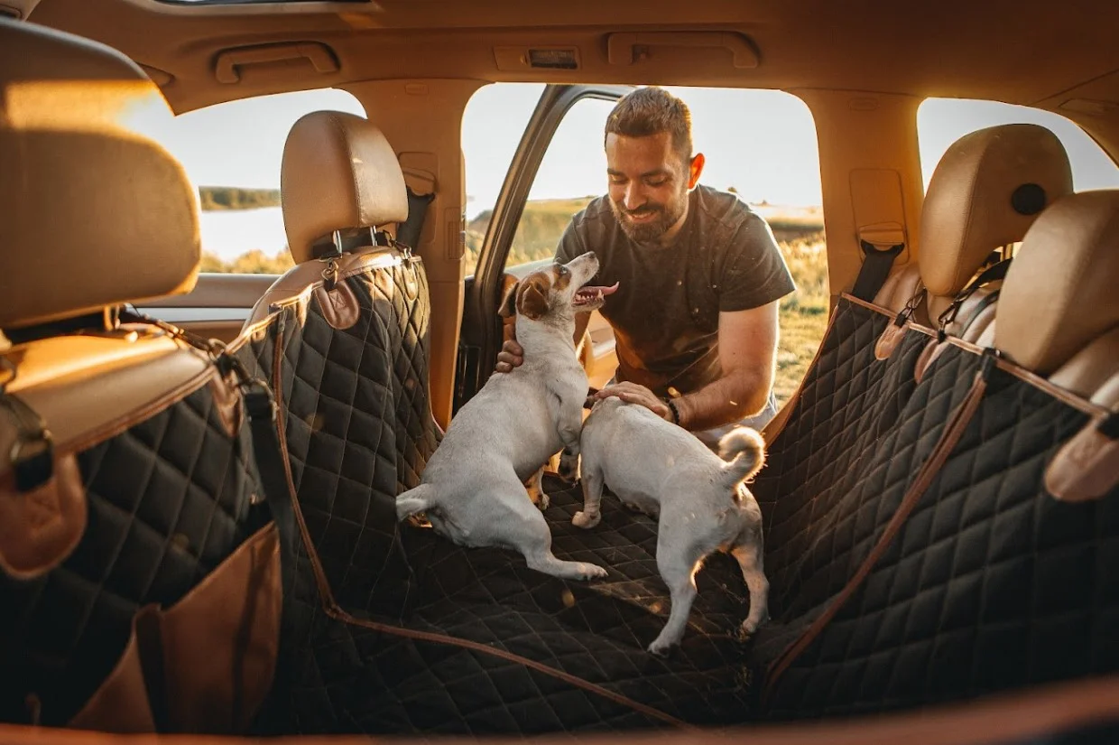 Jeep Renegade Back Seat Cover for Rhodesian Ridgebacks