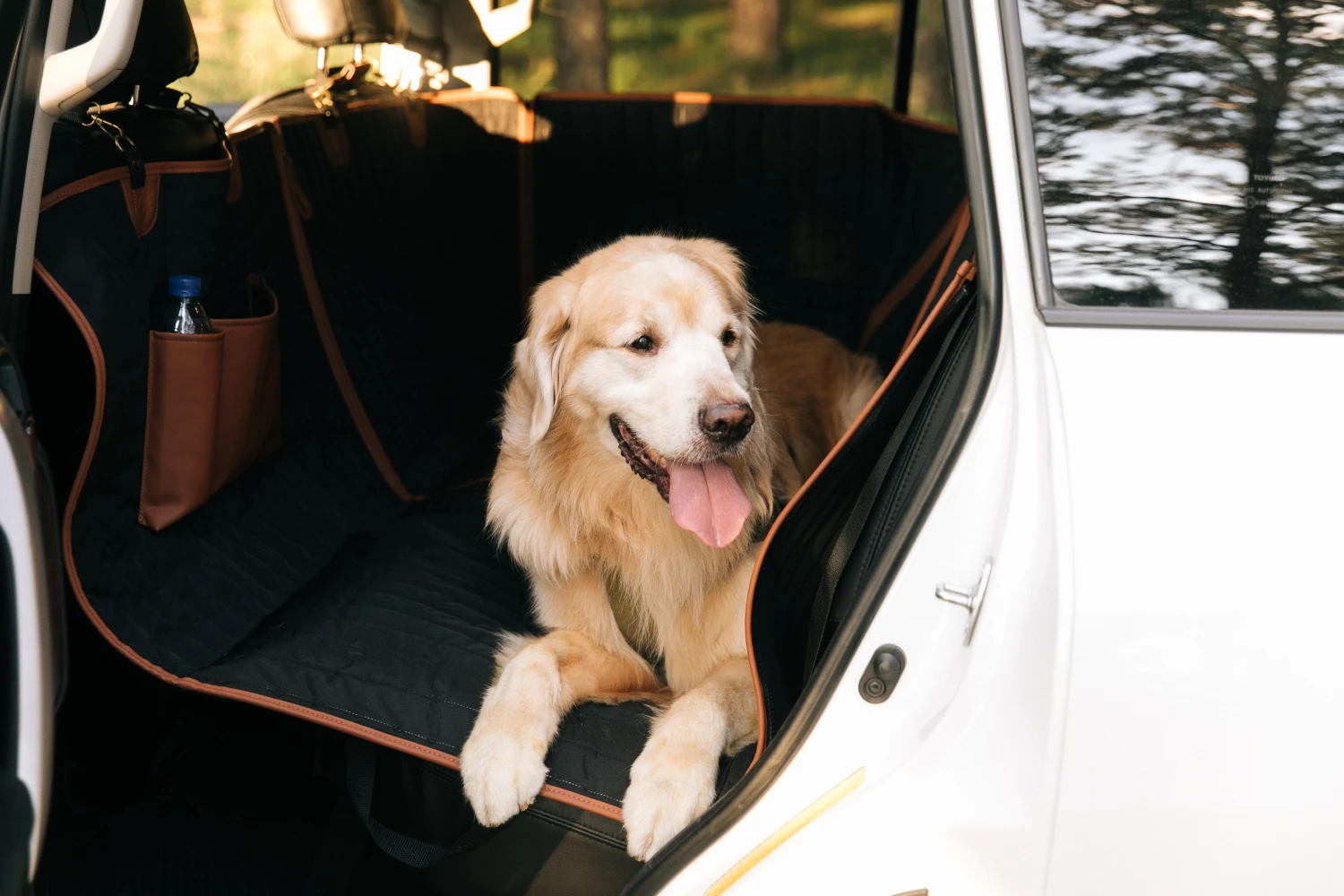 pet seat cover for Dodge Grand Caravan