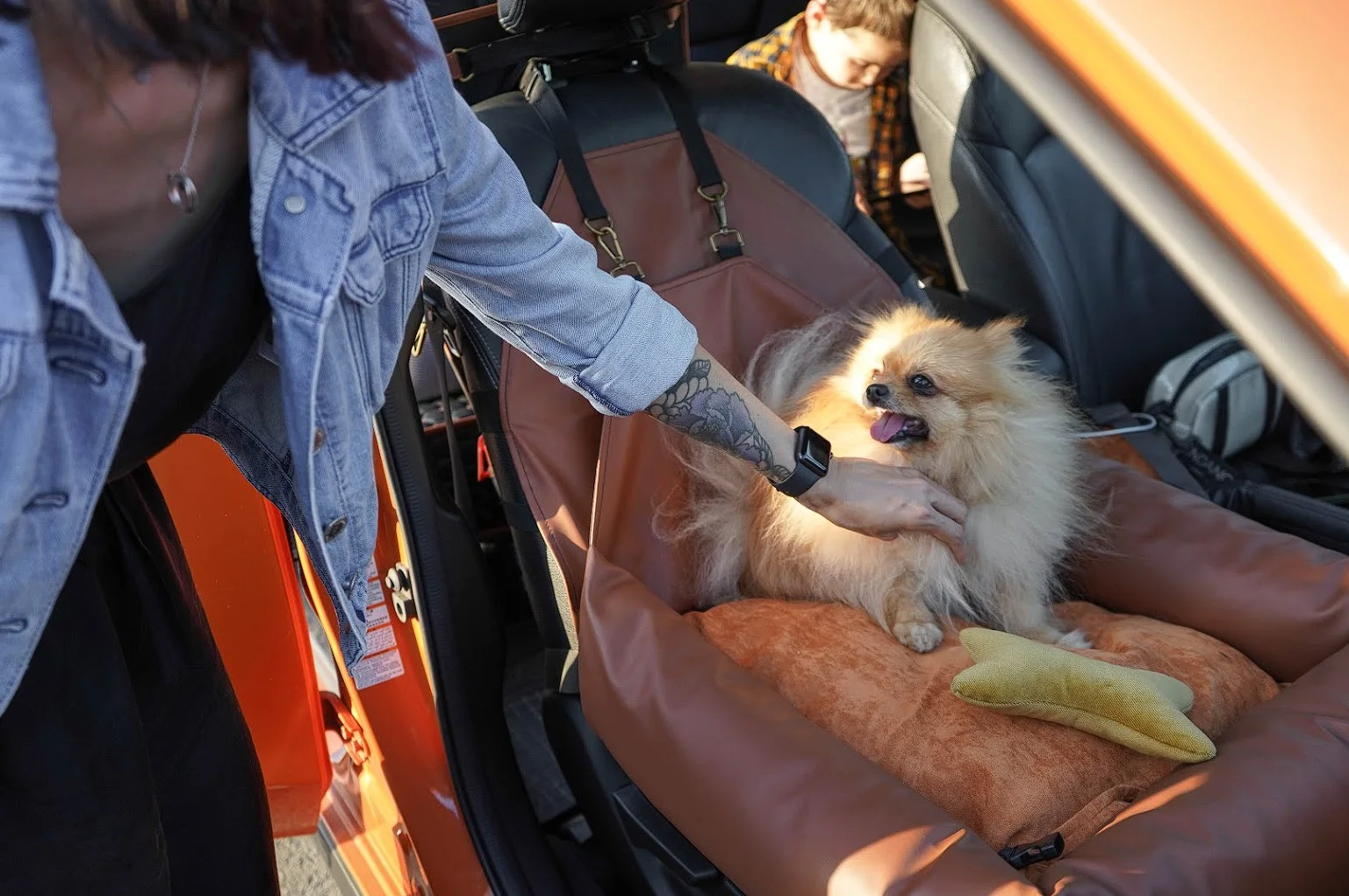 Welsh Springer Spaniels Dog Car Seat for Nissan Sentra